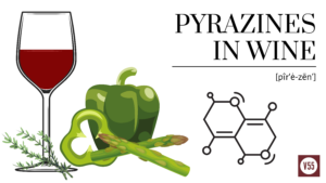Vinum 55 Pyrazines in Wine