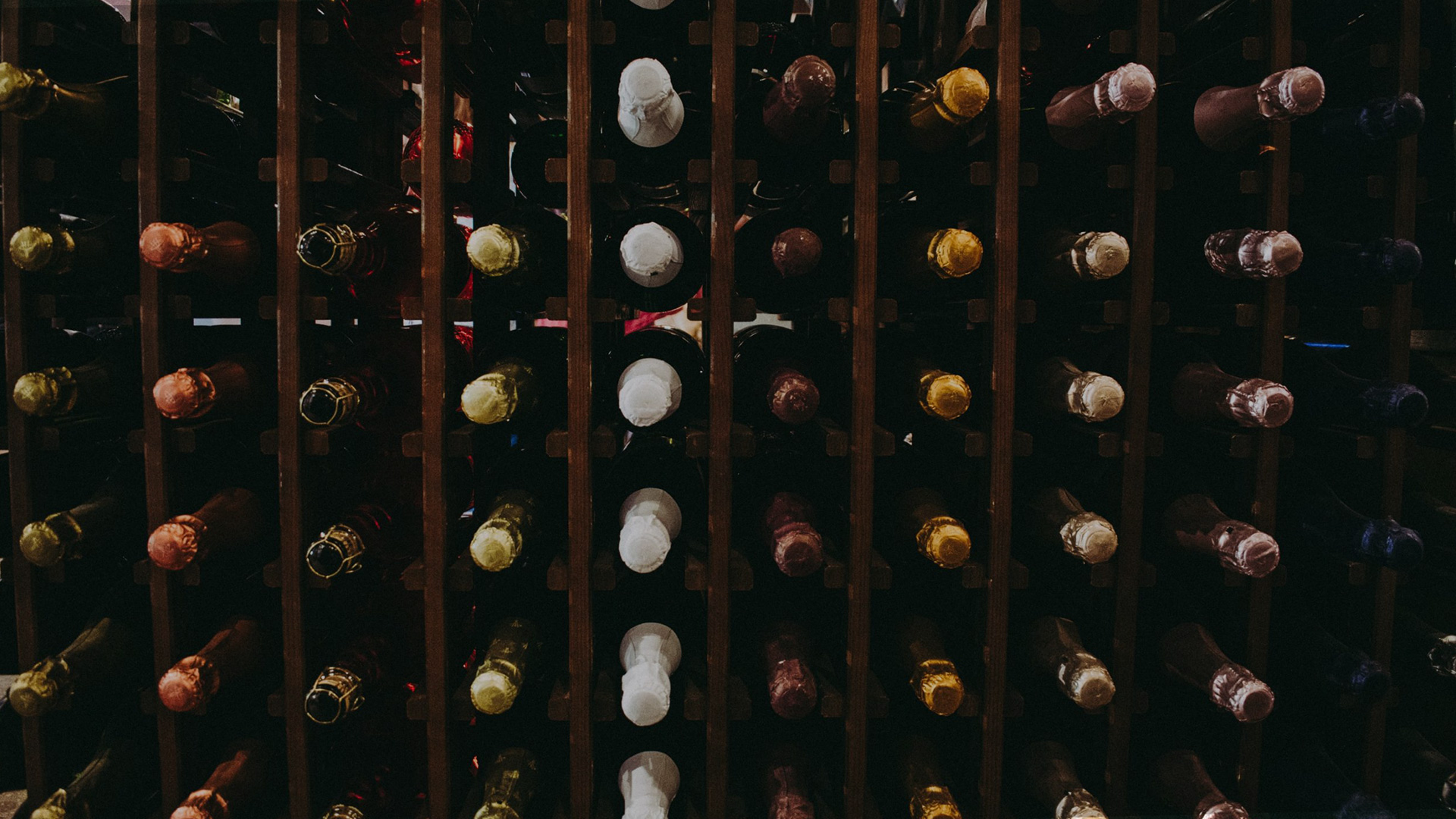 Vinum 55 wine storage cellar