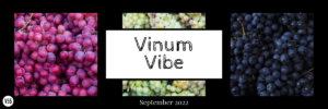 Vinum 55, Vinum Vibe, September 2022, all things wine, newsletter, wine tastings, wine event