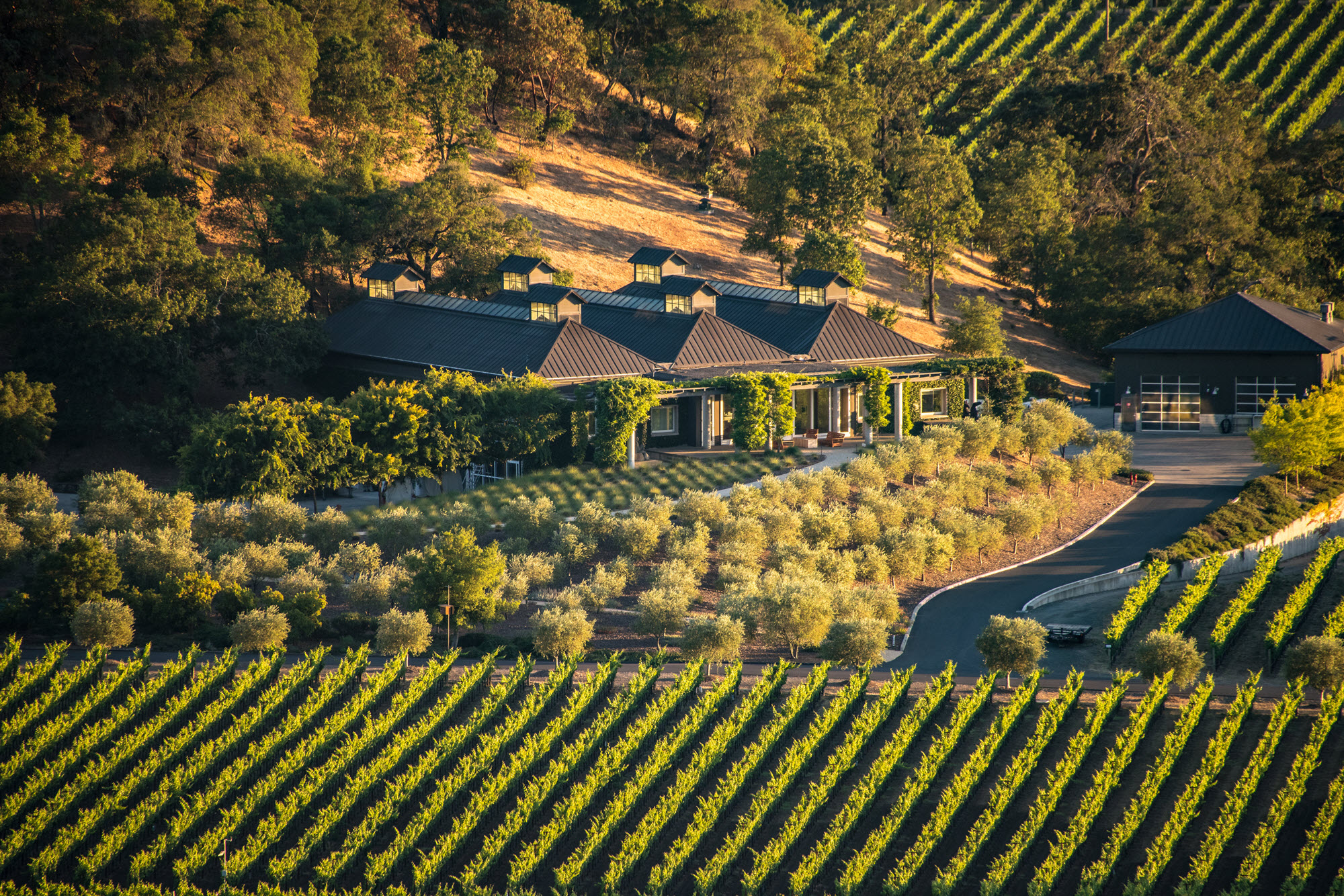 Vinum 55, wine tasting, wine event, Cliff Lede Vineyards