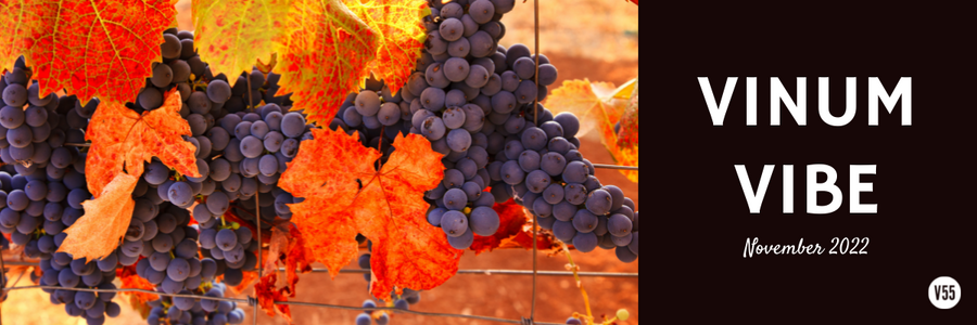 Vinum 55, Vinum Vibe, November 2022, Allen Texas, Wine Tastings
