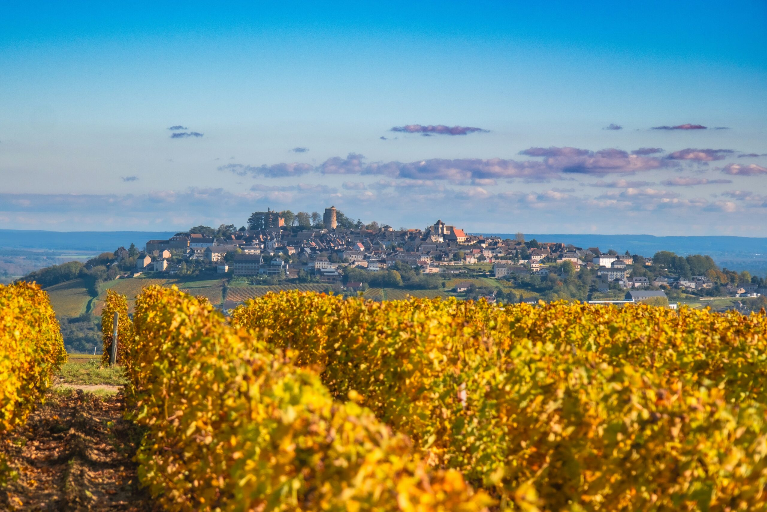 Vinum 55, wine tasting, loire valley