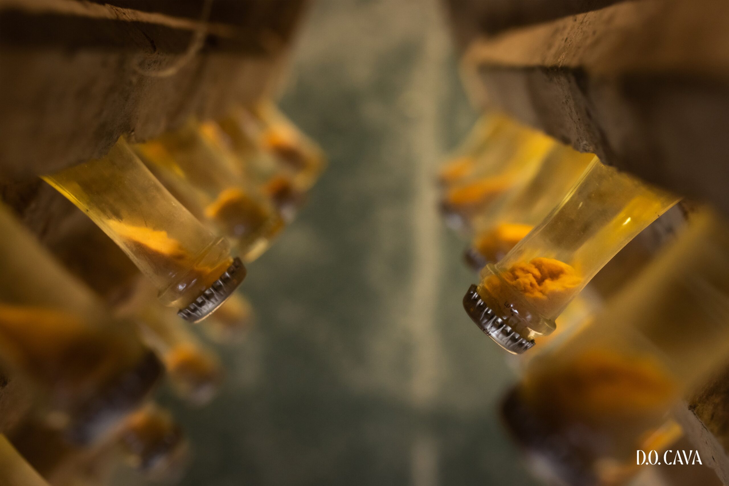 Vinum 55, D.O. cava, cava, spanish wine, sur ponte